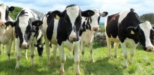 farm accident claims