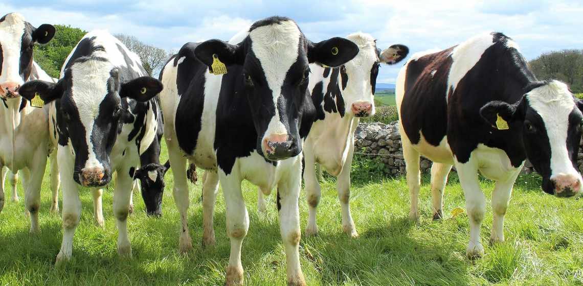 farm accident claims